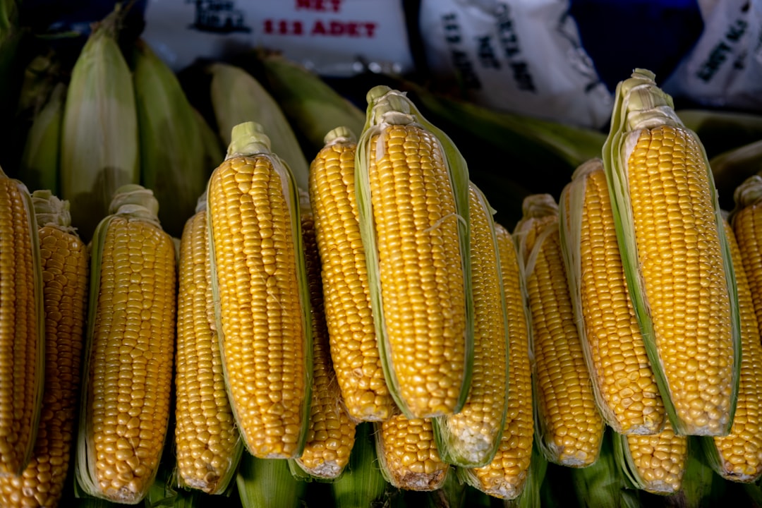 Photo corn atole